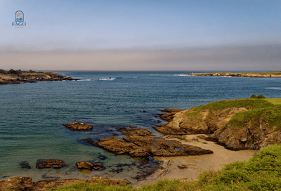 đối tác nước ngoài