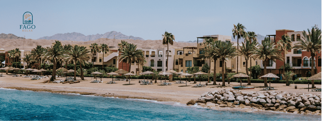 đối tác nước ngoài